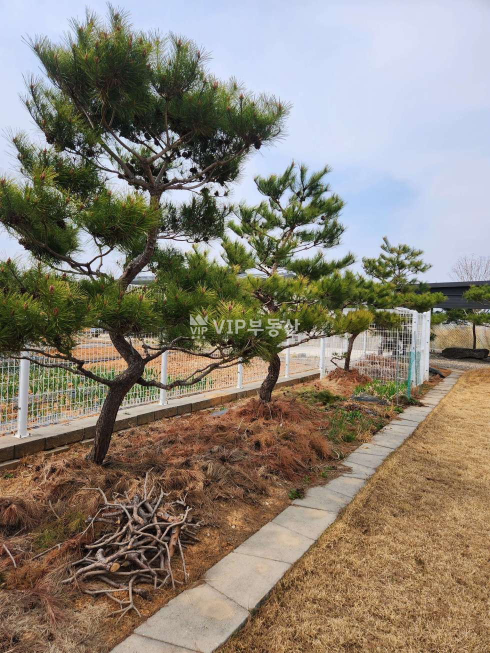 전북 완주군 이서면 은교리 주건축물제1동 주택수 포함안되는 별장용도의 주택 매매 매물번호 11101 사진 12