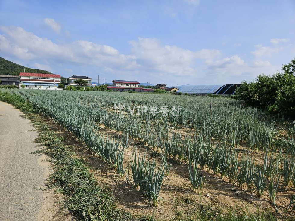 전북 완주군 용진읍 운곡리 14-8 운곡리 첨성대한증막 인근 토지매매 매매 매물번호 11305 사진 2