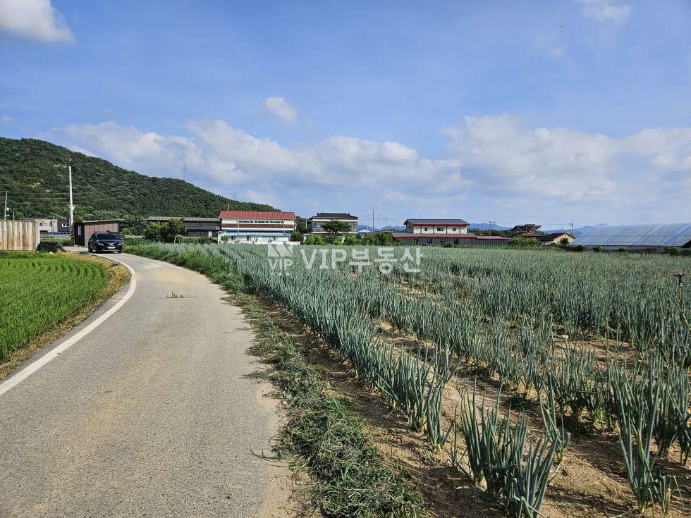 전북 완주군 용진읍 운곡리 14-8 운곡리 첨성대한증막 인근 토지매매 매매 매물번호 11305 사진 3