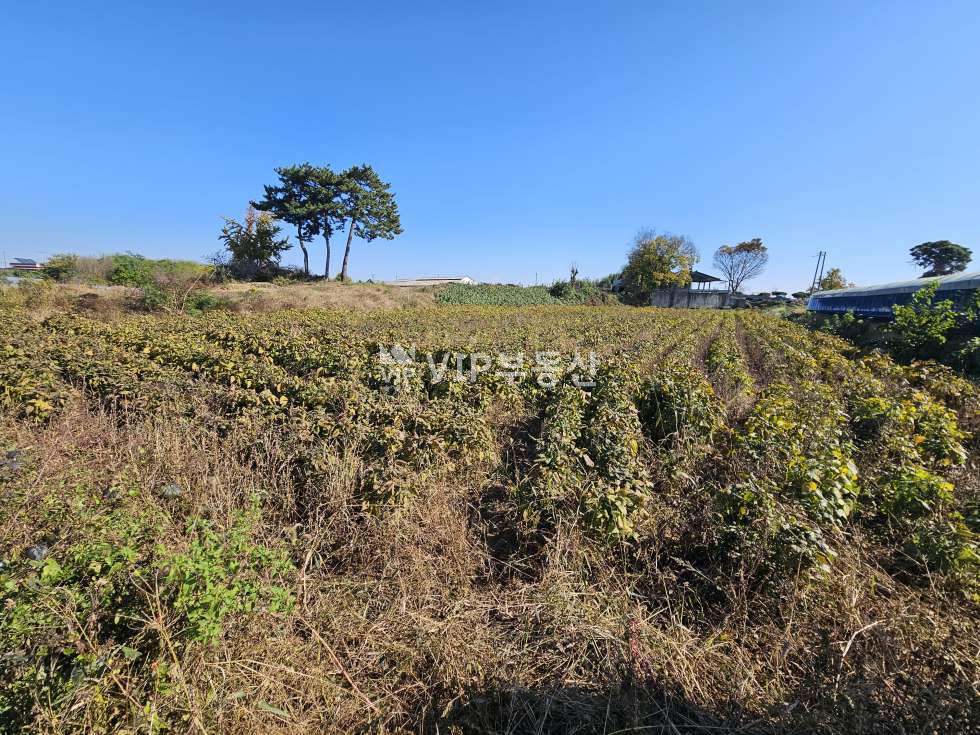 전북 김제시 백학동 795-1 주1동 김제시 백학동 동식물관련시설 매매 매매 매물번호 10965 사진 7