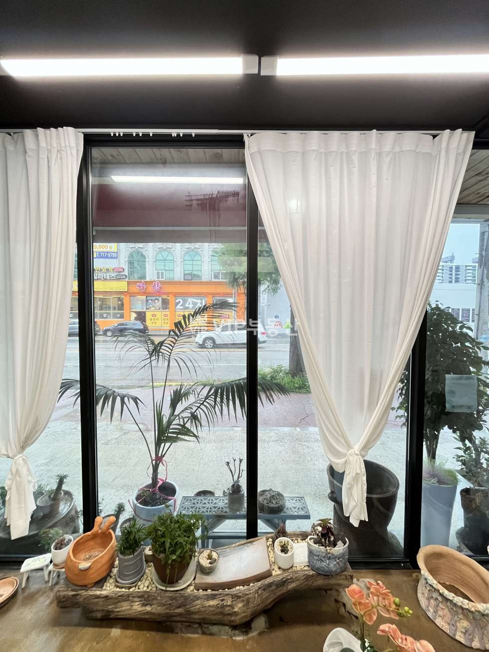 전북 전주덕진구 진북동 진북동 대로변 꽃집 상가 임대 무권리 점포 상가 월세 매물번호 12480 사진 11