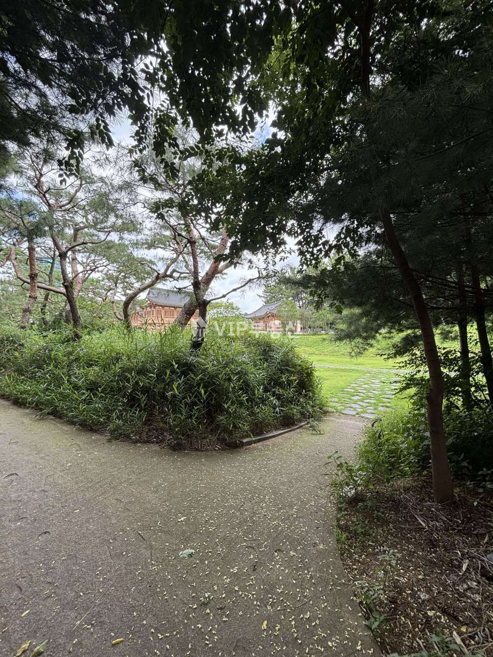 전북 전주덕진구 금암동 전북대 신정문 1분컷 통임대 무권리 상가 월세 매물번호 12566 사진 13
