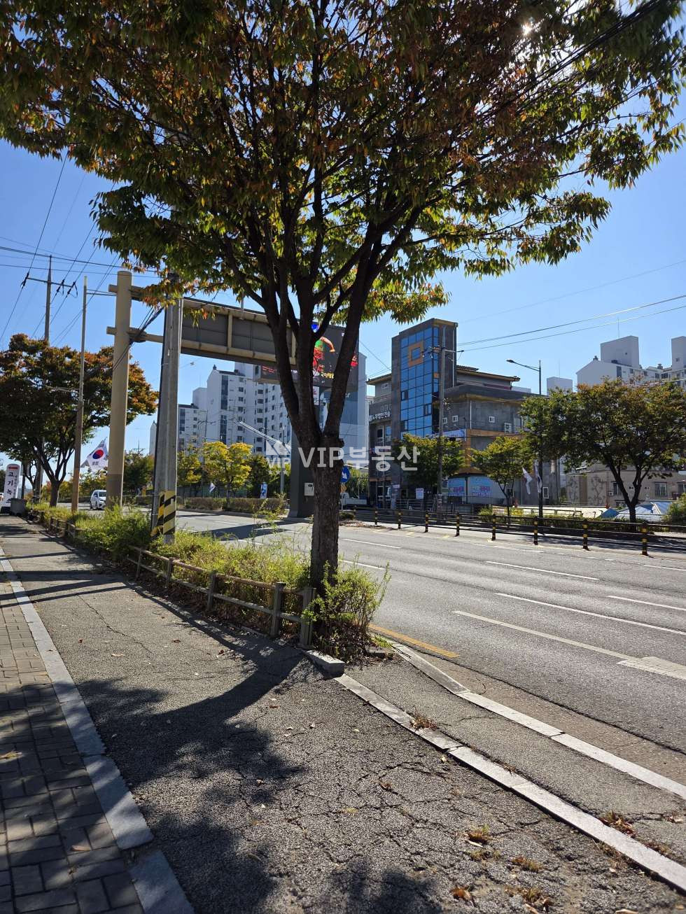 전북 전주덕진구 송천동2가 전주 동부대로 가시성 좋은 토지 매매 매매 매물번호 12955 사진 5